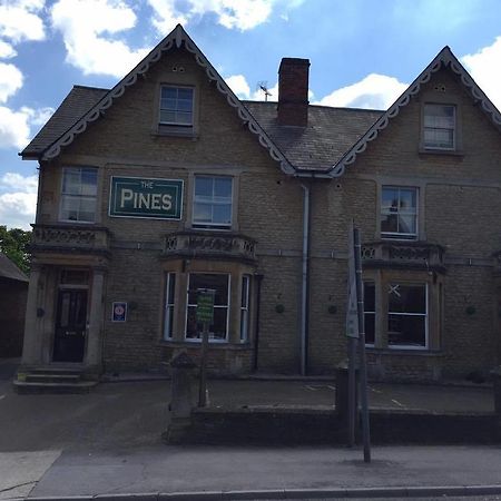 The Pines Guest Accommodation Chippenham  Eksteriør billede
